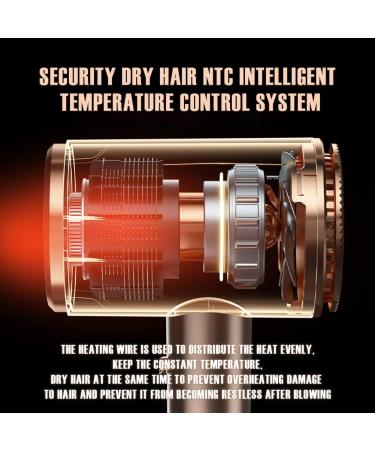 HJWNSD Double Negative ion Electric Hair Dryer High-end Hair dryers High-end Home Hotel Barbershop Student Dedicated Hair Dryer (Gold) - Buy Online on GoSupps.com