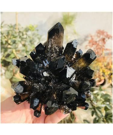 Crystal Natural Rock Quartz Crystal Cluster Smoky Crystal Specimen Home Decoration Gemstone Crystal FUZEGRDLI (Size : 750-800g) - Buy Online on GoSupps.com