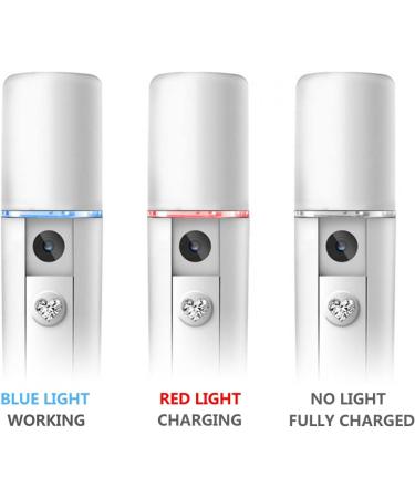 Nano Facial Spray 20ml USB Portable Nano Mist Spray Atomization Mister Face Facial Moisturizing Mist Sprayer with ABS Material for Women Girl Daily Makeup for Indoor or Outdoor - Buy Online on GoSupps.com