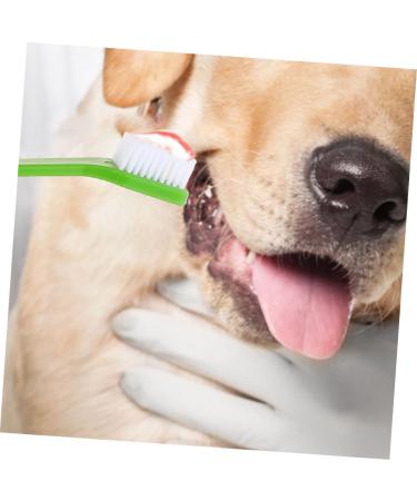 FRCOLOR 12pcs Teeth Supplies Cat Multi-function for Cats Dogs Tooth Small Double Household Handle - Buy Online on GoSupps.com