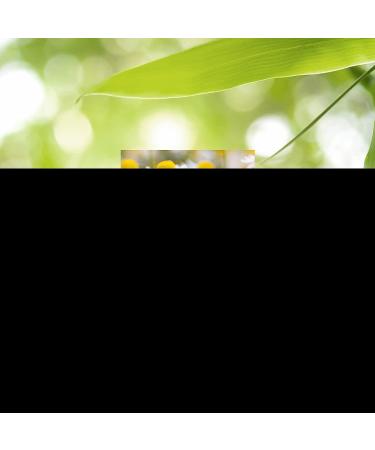 Nature's Sunshine Chamomile Capsules - 100 Count - Organic Relaxation and Calming Supplement - Buy Online on GoSupps.com