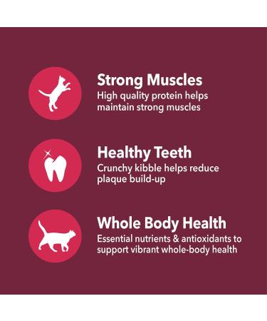 IAMS PROACTIVE HEALTH HEALTHY ENJOYMENT Adult Dry Cat Food Chicken & Beef Recipe 1.36kg Bag 1.36 kg (Pack of 1) - Buy Online on GoSupps.com