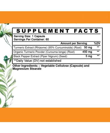 Vegan Turmeric Curcumin with Black Pepper Extract (60 Capsules-2 Month Supply) 95% Curcuminoids - All Natural Powerful Antioxidant for Joint Support and Relief (2-Bottles 4-Month Supply) - Buy Online on GoSupps.com