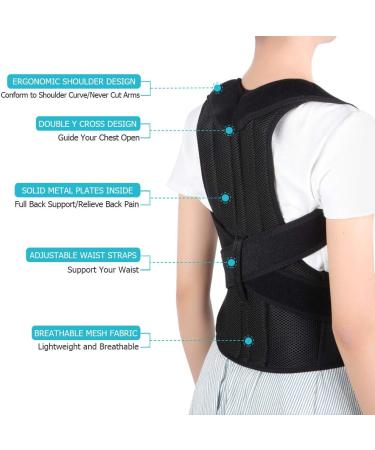 Adjustable Back Brace Posture Corrector for Men & Women | Lumbar Waist Support Belt | Improve Posture & Relieve Pain (L 31-42 - Buy Online on GoSupps.com