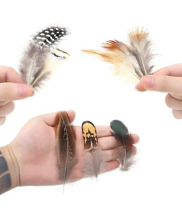 180 pcs Natural Feathers Assorted for Jewelry & Dream Catcher Crafts - 9 Styles - Buy Online on GoSupps.com