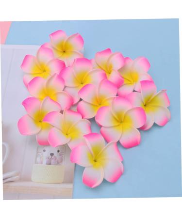 DOITOOL Hair Barrettes for Girls Plumeria Hairpin for Girl Hibiscus Claw Clip Hawaiian Hair Flower Clip Flower Barrettes for Girls Pink Accessories Travel Hibiscus Flower - Buy Online on GoSupps.com