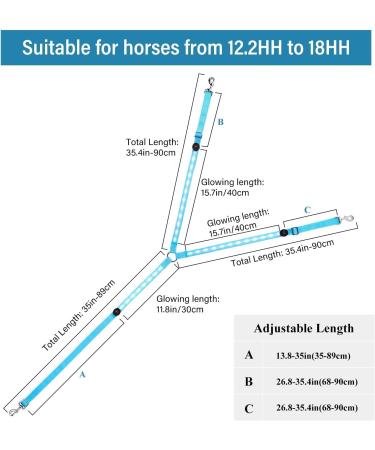 LED Horse Breastplate Collar-Best High Visibility for Horseback Riding-Adjustable-Sturdy and Comfortable Equestrian Safety Gear-for Night Horse Riding (Blue) - Buy Online on GoSupps.com