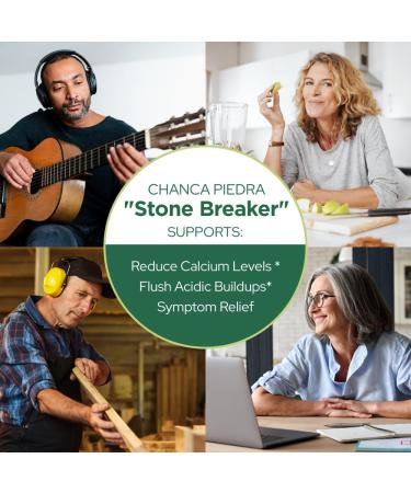 STONE BREAKER - Chanca Piedra by Plant of Life | Powerful Cleanse + Detox | Kidney Gall Bladder Urinary Tract | 60 Capsules | 30 Day Supply - Buy Online on GoSupps.com