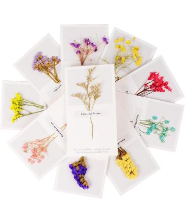 Andy Anand Dark Chocolate Orange Peel Amazingly Delicious Divine Delectable Gift Boxed & Greeting Card Birthday Valentine Christmas Mothers Fathers day Anniversary (1 lbs) - Buy Online on GoSupps.com