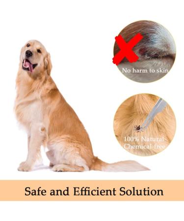 3PCS Stainless Steel Tick Remover Tool Set for Dogs, Cats, Horses - Safe Tick Removal Kit with Double-sided Tweezer, Tick Hook, Tick Tweezer - In Iron Box - Christmas Gift - Buy Online on GoSupps.com