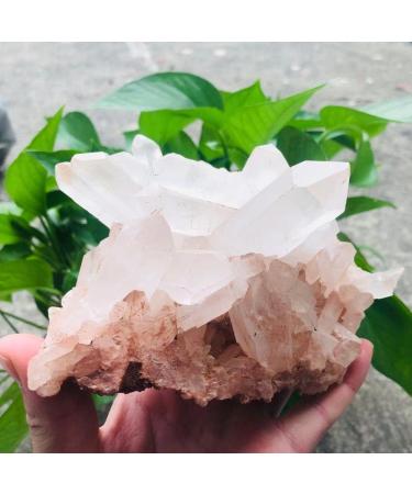 Crystal 200g-2000g Rough Natural Clear Geode Quartz Cluster Crystal Stone 1pc Suitable for Home Office Decoration Home Goods (Color : 1120g-1300g 1pc) - Buy Online on GoSupps.com