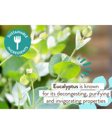 Babo Botanicals Eucalyptus Remedy Shampoo & Wash - Eucalyptus & Rosemary Oils - EWG Verified, Vegan & Cruelty-Free - 16 fl. oz - Buy Online on GoSupps.com