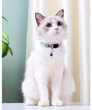 Tagme Cat Collar - 2 Pack Pink Adjustable Neck Band with Name & Phone Number Safety Clasp & Bell Standard Size 18-31 cm - Buy Online on GoSupps.com