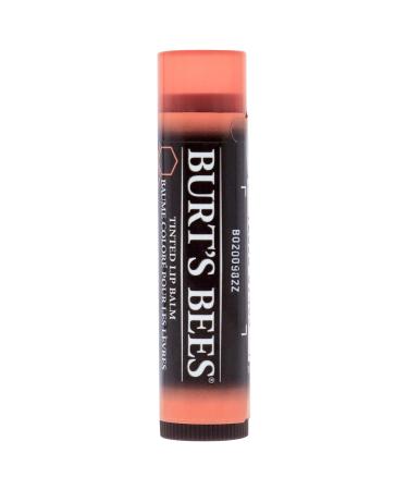 Burt's Bees Tinted Lip Balm Zinnia (colored lip care stick in a neutral color very subtle lip balm care natural ingredients) 50111 - Buy Online on GoSupps.com