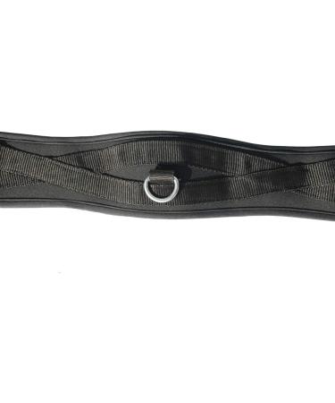 Rhinegold Memory Foam Girth 48" Black - Buy Online on GoSupps.com