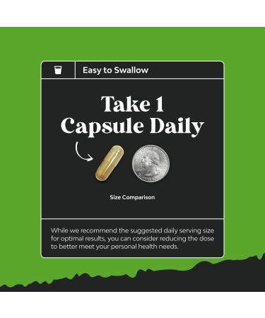 Nootropic Memory Supplement for Brain Support - Memory Pills for Brain Boost and Natural Energy Booster - VIT B12 Bacopa Monnieri Rhodiola Rosea DMAE Ginkgo Biloba Phosphatidylserine Supplement 2pack - Buy Online on GoSupps.com