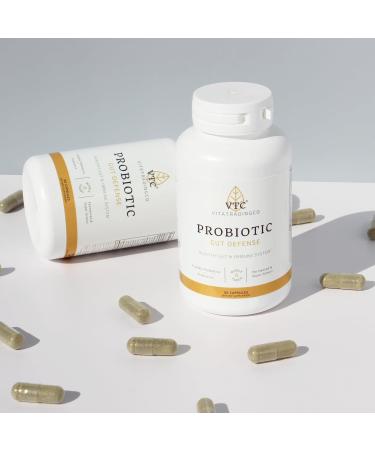 VTC VitaTradingCo. Probiotic Gut Defense | Probiotics and Prebiotics for Gut Health & Digestion | 1 Billion CFU with Whole Food Base | 90 Capsules - Buy Online on GoSupps.com