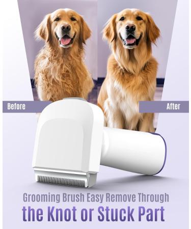 oneisall Dog Grooming Vacuum Kit | 99% Suction Pet Hair Remover with 4 Grooming Tools | Purple Dog Hair Vacuum Groomer - Buy Online on GoSupps.com