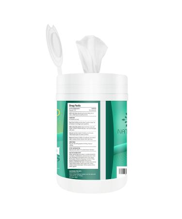 All-Natural Eczema Wipes | Fast Acting Relief with Oatmeal | Soothes Itching & Cracking | Organic Skin Protectant - Buy Online on GoSupps.com