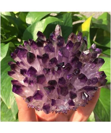 Collection Natural Crystals Quartz Amethust Cluster Freeform Energy Reiki Stones Room Home Office Aquarium Decoration Accessories Gemstone (Size : 400-450g) - Buy Online on GoSupps.com