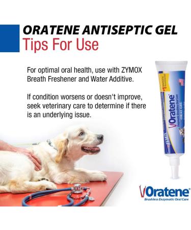 ZYMOX Oratene Brushless Oral Gel for Dogs and Cats - 1oz by Pet King Brands - Buy Online on GoSupps.com