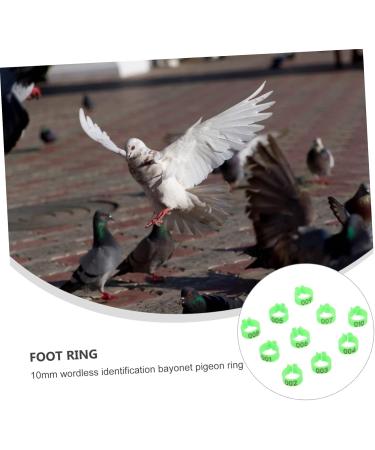 Levemolo 100 Pcs Pigeon Anklet Chicken Thighs Numbered Opening Pigeon Ring Chicken Foot Ring Baby Drumstick 1.3X1.3CM Green - Buy Online on GoSupps.com