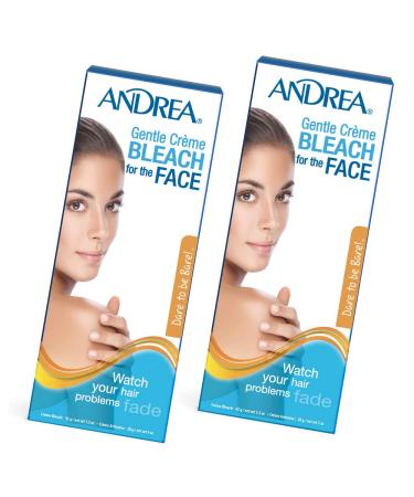 Andrea Gentle Cream Bleach for Unwanted Facial Hair, 2 packs 1 Count (Pack of 2) Gentle Cream Bleach