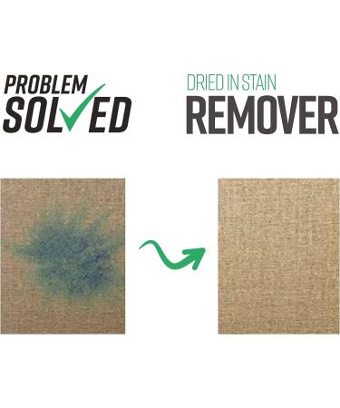 Problem Solved Dried Food Drink Urine Daces Vomit Blood and Pet Fabric Stain Remover with Powerful Cleaning Action 500ml Clear - Buy Online on GoSupps.com