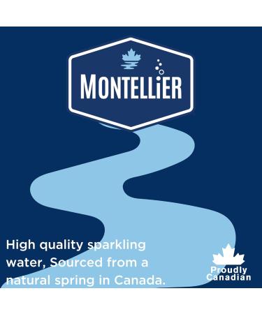 Montellier Carbonated Mineral Water with Natural Grapefruit Flavor 10x355mL - Buy Online on GoSupps.com