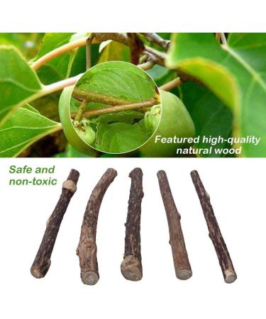 30 Catnip Sticks for Cats - Natural Matatabi Silvervine Chew Toys for Dental Health and Teeth Grinding - Catnip Toys for Kittens - Buy Online on GoSupps.com