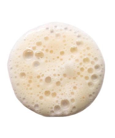 Agent Nateur - acid (wash) Natural Lactic Acid Skin Illuminating Cleanser | Vegan Non-Toxic Clean Skincare (4.05 fl oz | 120 mL) 4.05 Fl Oz (Pack of 1) - Buy Online on GoSupps.com