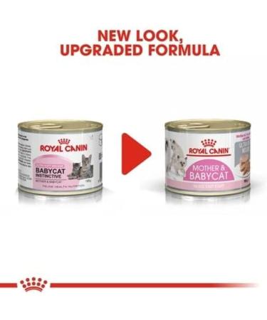 ROYAL CANIN First Age Mousse Mother & Baby Cat Wet Cat Food - 12 x 195g - Buy Online on GoSupps.com