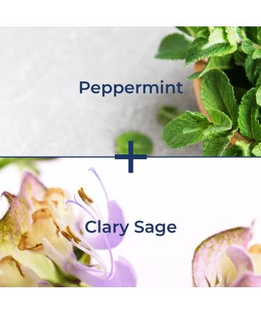 Kiss My Face De-Stress 2-in-1 Body Wash & Bath Soak - Peppermint + Clary Sage - Vegan & Cruelty Free - With Rhodiola Rosea & Hemp Seed Oil - 16 fl oz - Buy Online on GoSupps.com