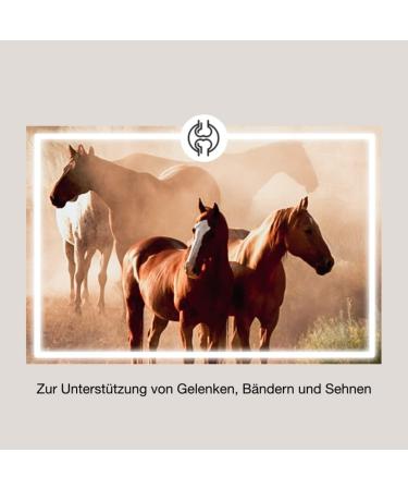 Equimove Bundle for Horses | Muscle Joint & Tendon Support | 1.5 kg Supplementary Feed - Buy Online on GoSupps.com