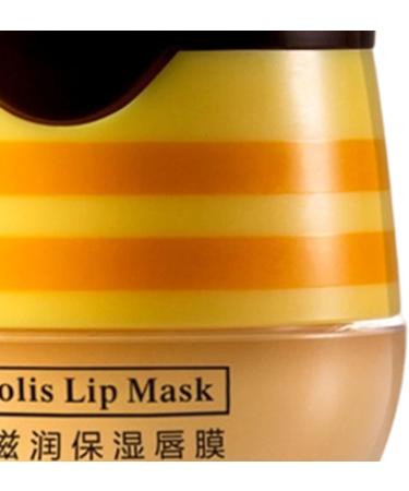 Honey Lip Balm Deep Hydration 55 G Plumping Lip Mask Plumping Care Balm Nonsticky and Lightweight for Women Men Day Over Night Daily Home Travel Winter A1 - Buy Online on GoSupps.com