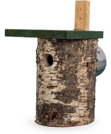 Natural Birch Log Nest Box 32mm Hole - popular with Great Tits Pied Flycatchers Tree Sparrows and House Sparrows - Buy Online on GoSupps.com