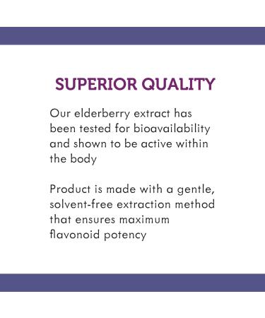 Nature's Way Sambucus Sugar-Free Elderberry Syrup 4 Oz - Immune Support Formula - Buy Online on GoSupps.com