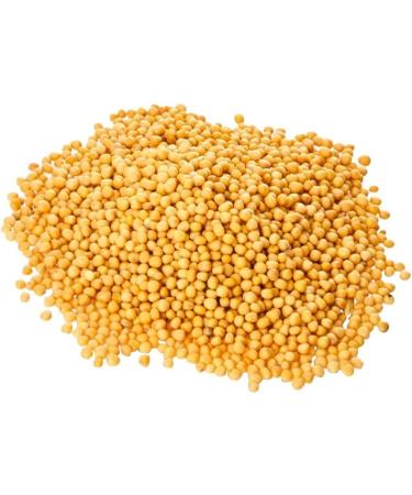 Old India Yellow Mustard Seeds Whole 750g - Premium Quality Spice - Buy Online on GoSupps.com