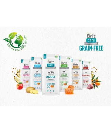 Dry Food for Adult Dogs - BRIT Care Grain-Free Adult Salmon - 3 kg - Buy Online on GoSupps.com