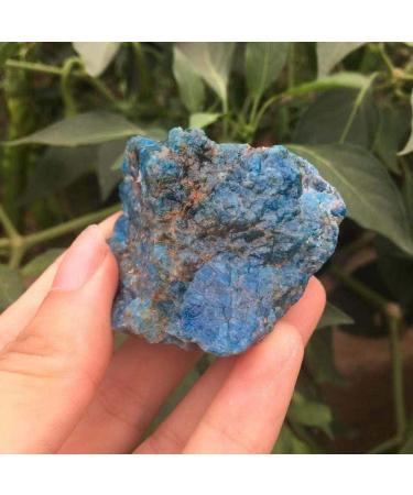 Crystal 120-130g Natural raw Apatite Quartz Crystal Rough Stone Rock Gemstone Natural Stones and Minerals Specimen Suitable for Home Office Decoration FZUGEDRLI - Buy Online on GoSupps.com