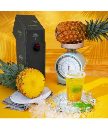 JuiceBox Syrup Light - 2 liters makes 52 liters of ready-to-drink beverage Sustainable Vegan Delicious & hardly any calories (Pineapple Dream)