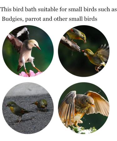 Small Blue Bird Bath Cage for Cockatiel, Budgerigar, Macaw, Finch, Parakeet, Conure, Canary - Shower Supplies for Pet Parrots - Buy Online on GoSupps.com