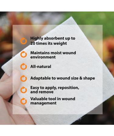 Pivot Calcium Alginate Wound Dressing - All-Natural First Aid | 4x5 Dressings (Box of 10) - Fast Worldwide Shipping - Buy Online on GoSupps.com