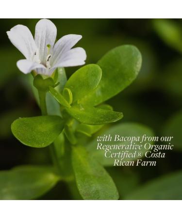 kokora Regenerative Bacopa - Organic Adaptogenic Bacopa Supplement - Cognitive Function Memory Support* - 60 Capsules - 30 Servings - Buy Online on GoSupps.com