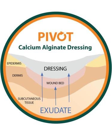 Pivot Calcium Alginate Wound Dressing - All-Natural First Aid | 4x5 Dressings (Box of 10) - Fast Worldwide Shipping - Buy Online on GoSupps.com
