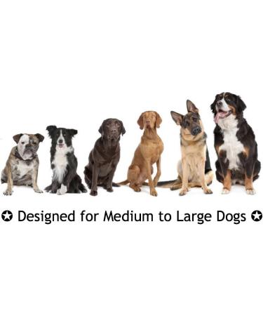 RIO Direct Dog Rope Toys Durable Dog Rope Chew Toys Set for Aggressive Chewers Interactive Cotton Rope - Avoid Boredom and Anxiety - Best Gift for Medium to Large Breeds (4Pack) Mixed-colour - Buy Online on GoSupps.com