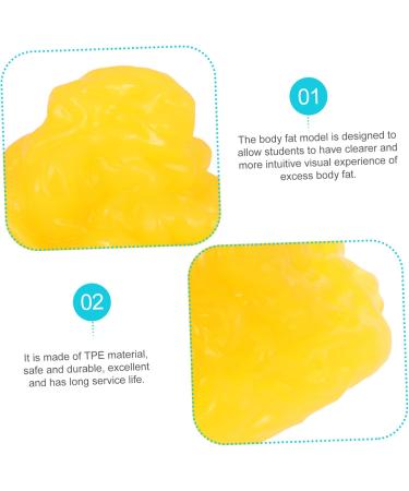 Mobestech Fat 1lb Fat Model Mannequins Manikin Human Body Fat 5lb Fat Display 1-Pound Fat Replica Fitness Base Sports - Buy Online on GoSupps.com
