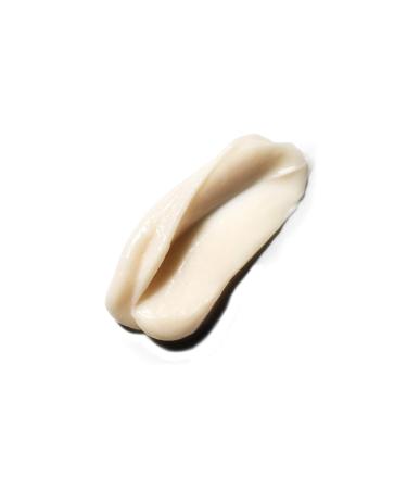 VIRTUE Recovery Shampoo & Conditioner Set - Large 17 oz Size - Buy Online on GoSupps.com