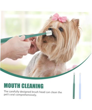Beavorty 4 pcs for Teeth Cat Small Handheld Brush -degree Tooth Pet Puppy Cleaning Pets Clean Portable Dog 1 count (Pack of 1) Assorted Colorx2pcs - Buy Online on GoSupps.com