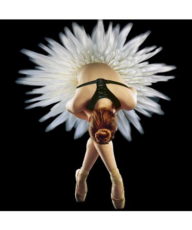 Stayfit Posture Corrector: Adjustable Unisex Back Brace for Upper Back Pain Relief and Support - Spine Neck Straightener Strap in Black - Buy Online on GoSupps.com